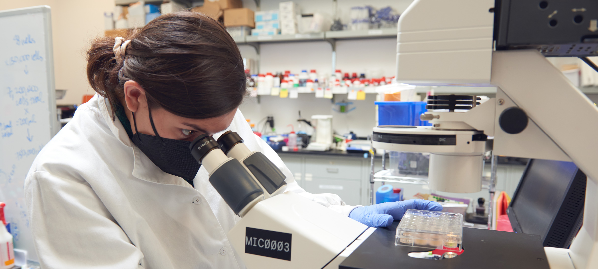Inbside Prellis lab